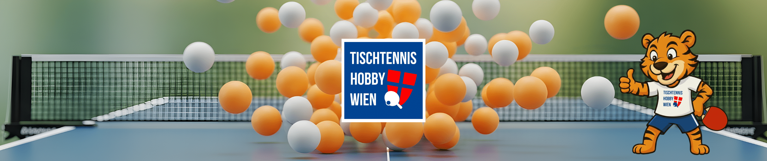 Die Partner im Detail von Tischtennis Hobby Wien leisten einen wertvollen Beitrag, um Tischtennis in Wien sichtbarer zu machen.