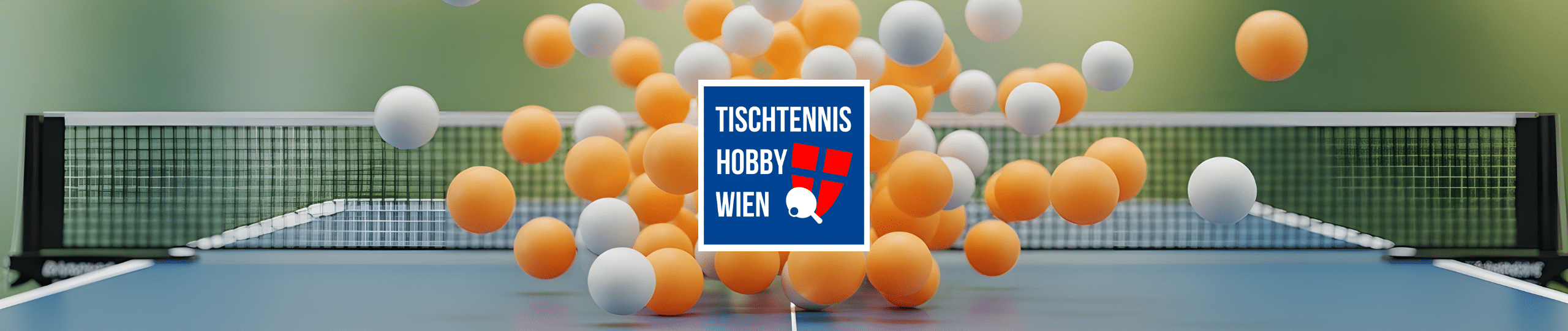 Die Partner im Detail von Tischtennis Hobby Wien verfolgen ein gemeinsames Ziel: Tischtennis in Wien sichtbarer machen und den Sport nachhaltig im öffentlichen Raum stärken.